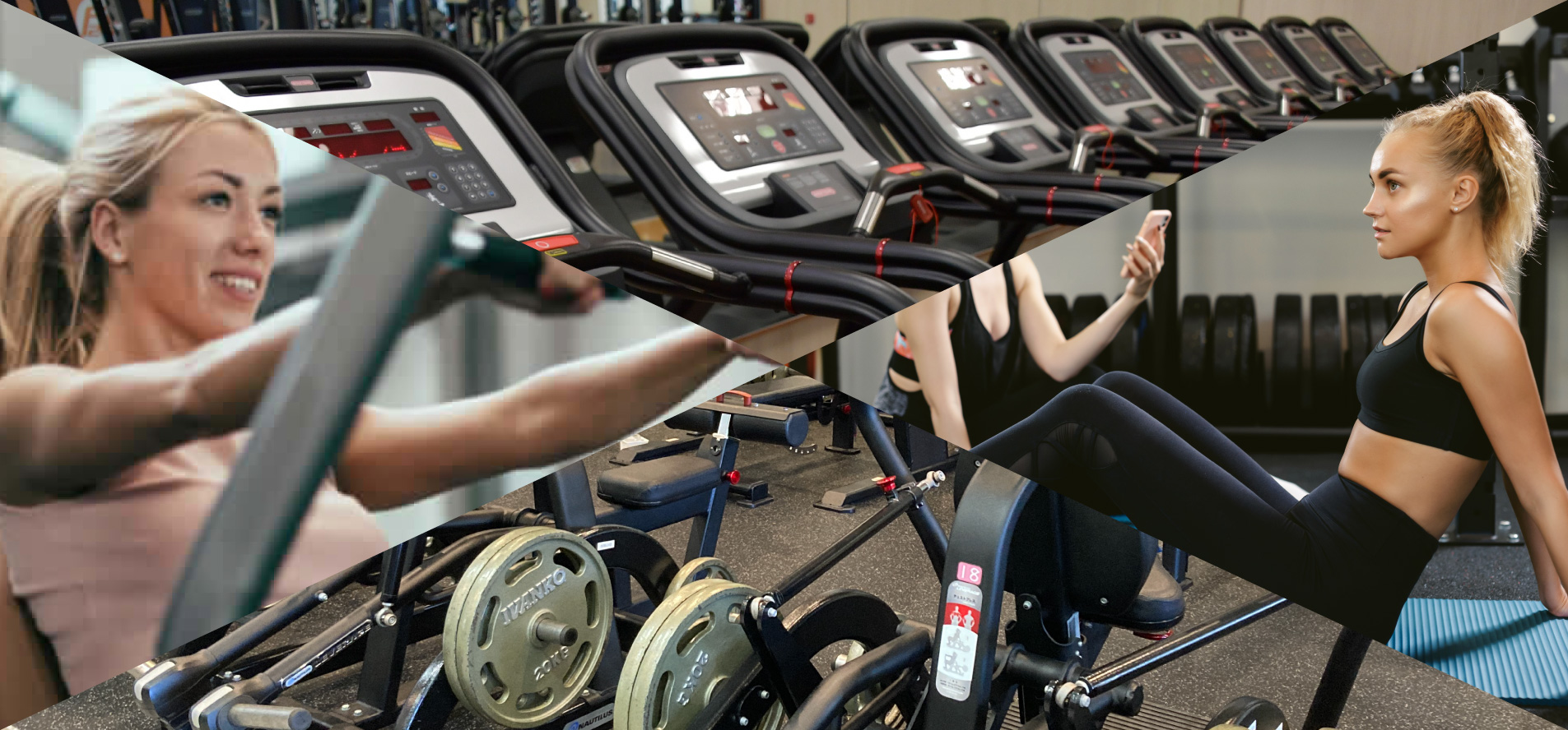 Training-machine-main-visual2